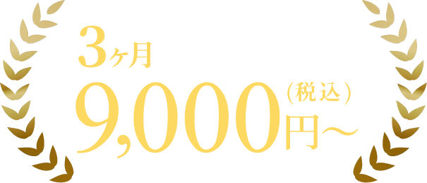 3ヶ月9,000円〜（税込）