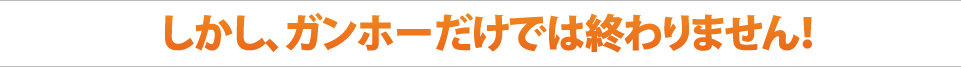しかし、ガンホーだけでは終わりません！