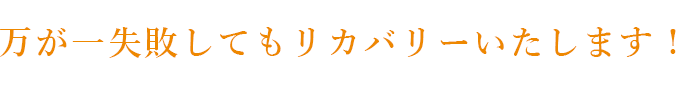 万が一失敗してもリカバリーいたします！