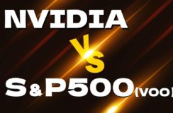 エヌビディア（NVIDIA）vs S&P 500　どっちが買い？個別株かETFかのイメージ