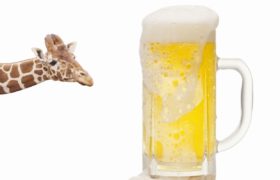 キリンホールディングスの配当のイメージ