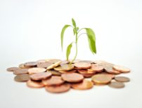 投資信託のほったらかし運用はダメなのか？失敗パターンや利益を狙うコツのイメージ