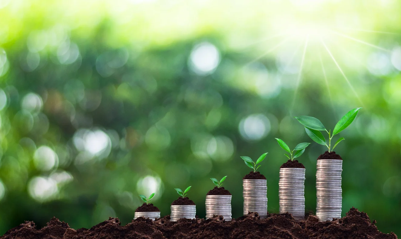 セブン銀行の配当金はいくら｜年間11円をキープ